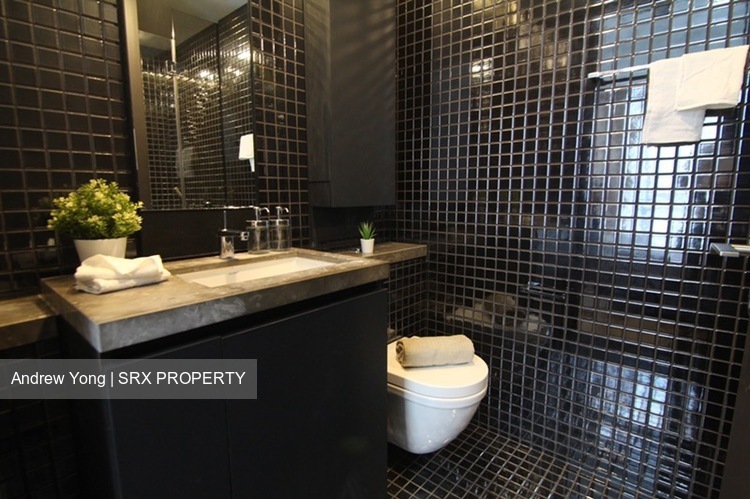 Skysuites@Anson (D2), Apartment #233888321